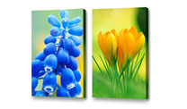 Canvas Prints